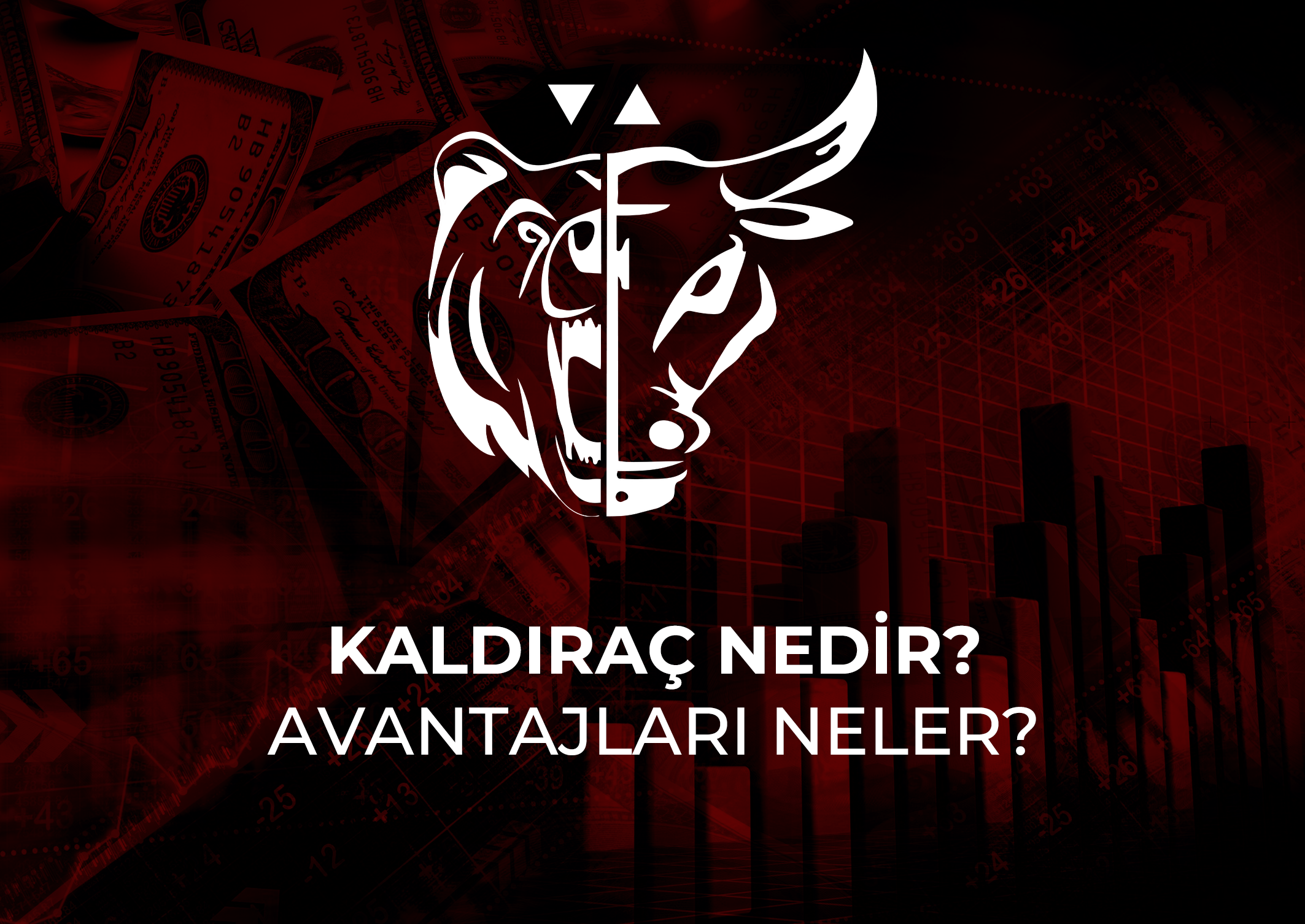 Kaldıraç nedir nasıl kullanılır?