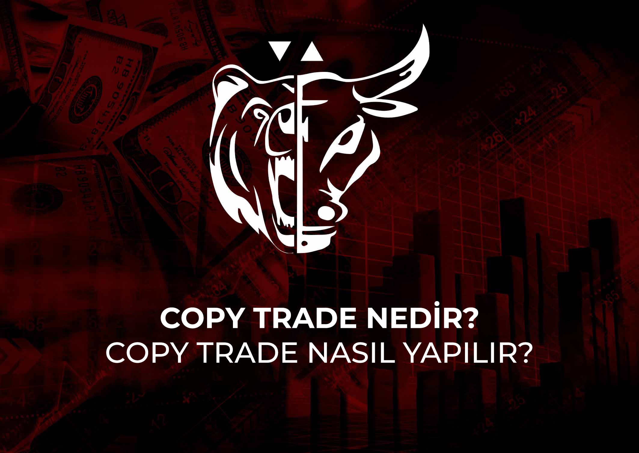 Copy Trade nedir? Copy Trade nasıl yapılır?