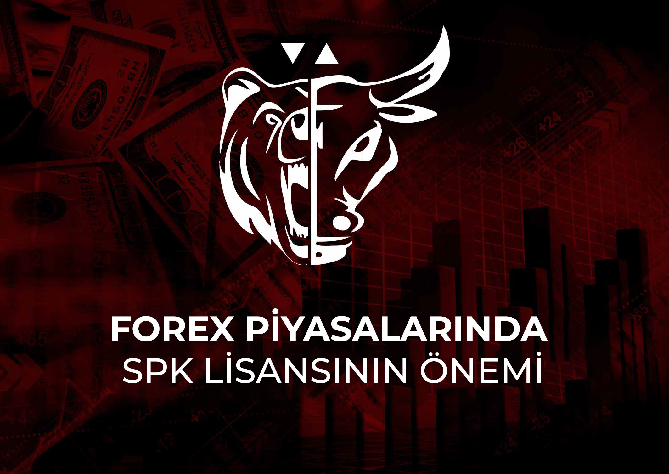 Forex-piyasalarında-SPK-lisansının-önemi