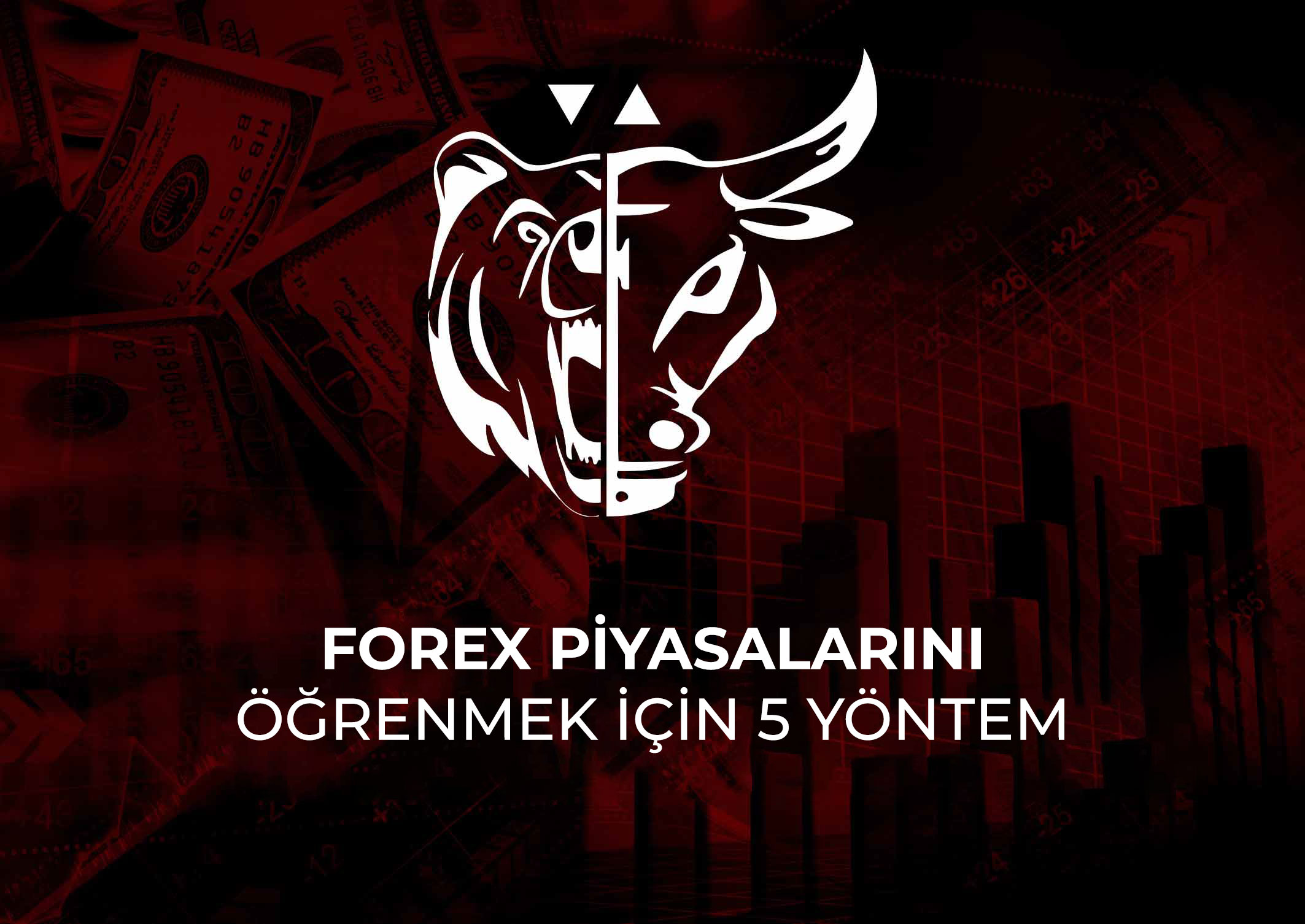 Forex piyasalarını öğrenmek için 5 yöntem