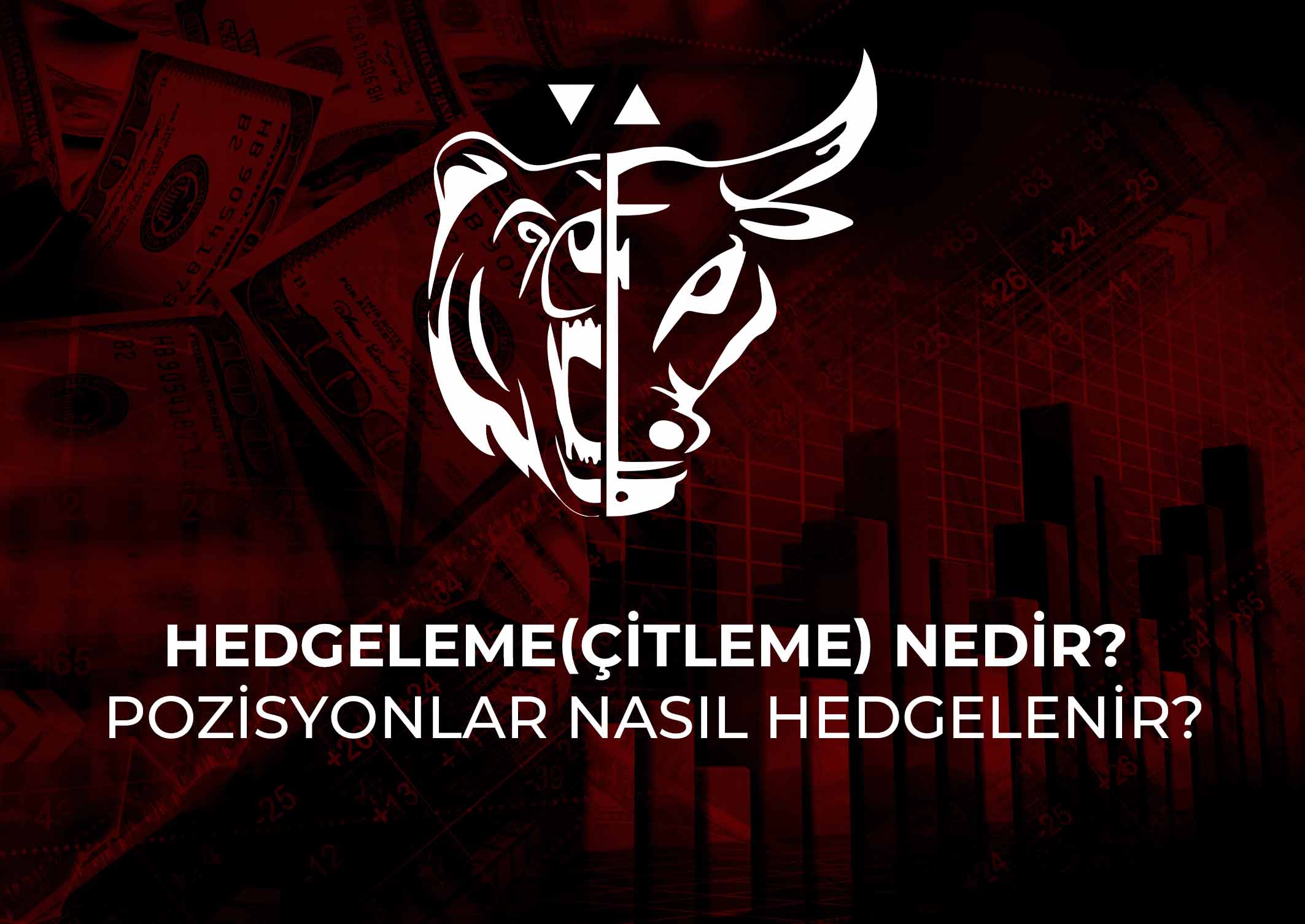 Hedgeleme(Çitleme) nedir? Pozisyonlar nasıl hedgelenir?