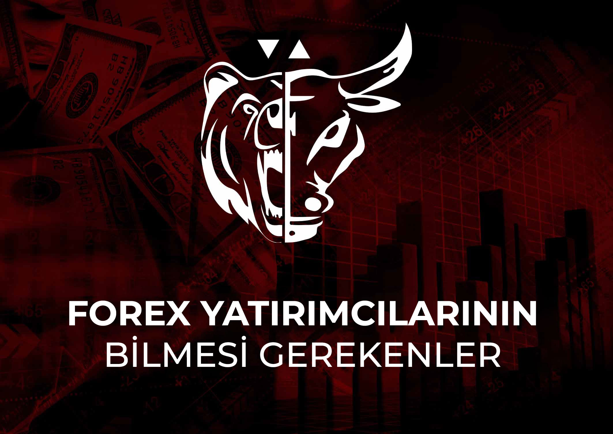 Forex yatırımcılarının bilmesi gerekenler