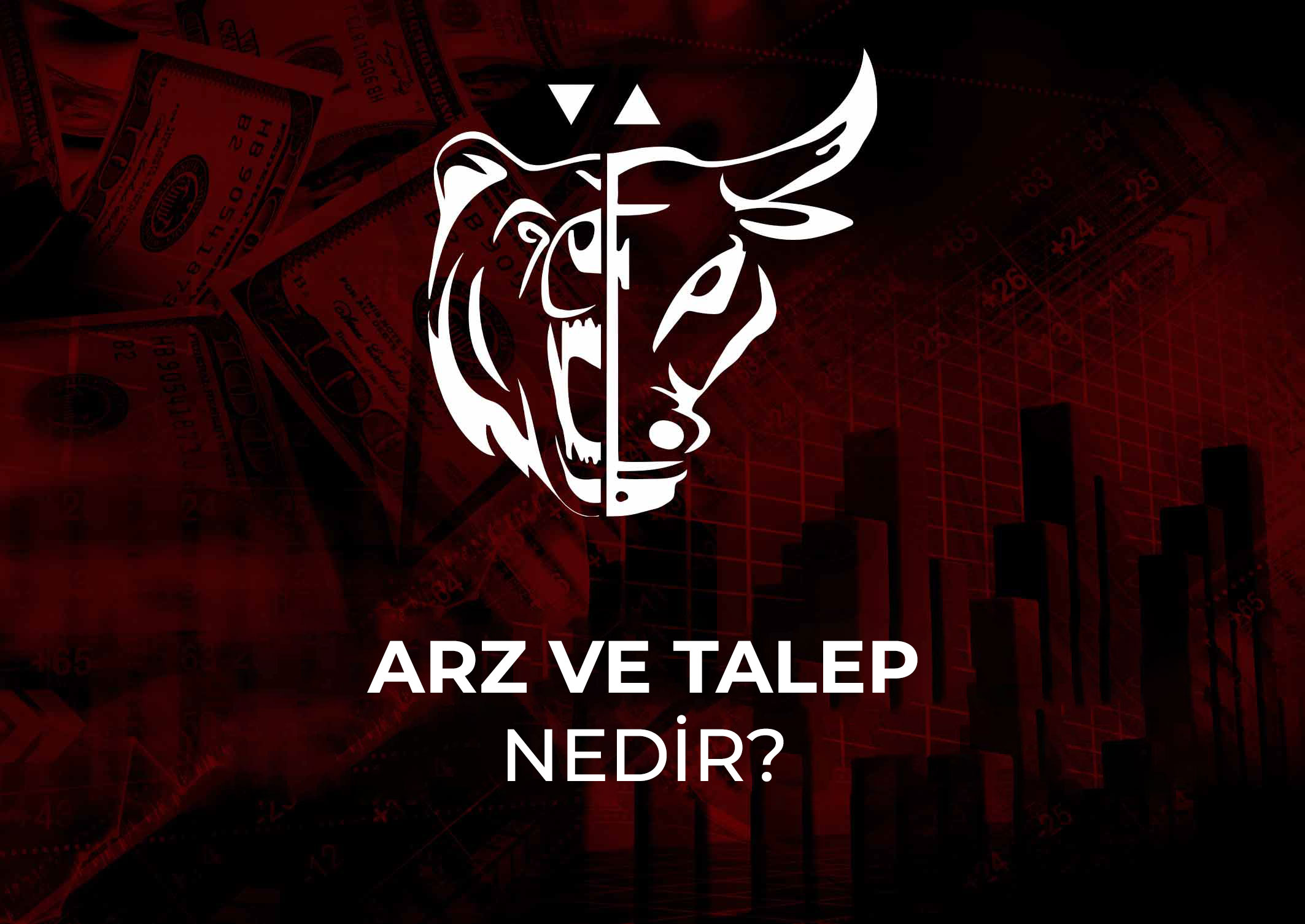 ARZ VE TALEP NEDİR?