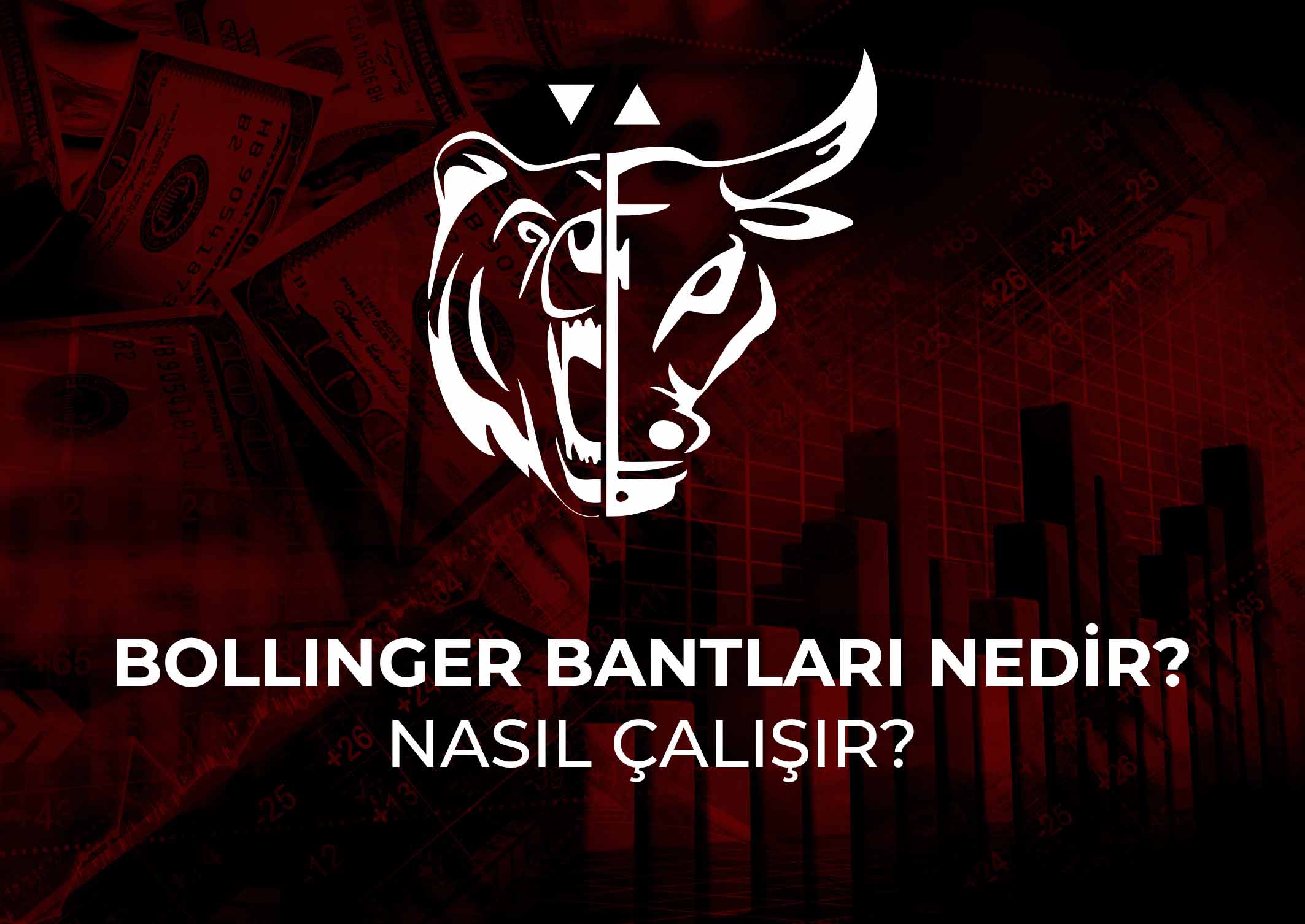 Bollinger Bantları nedir? Nasıl çalışır?