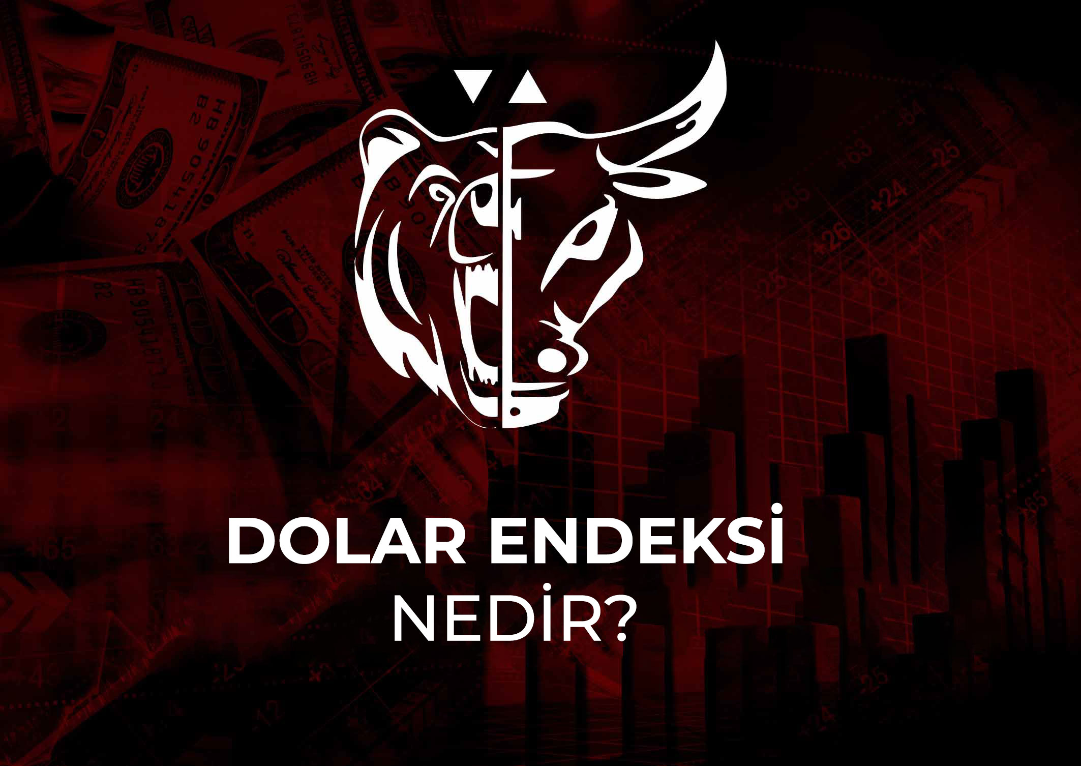 Dolar endeksi nedir? Dolar endeksi neden bu kadar önemli