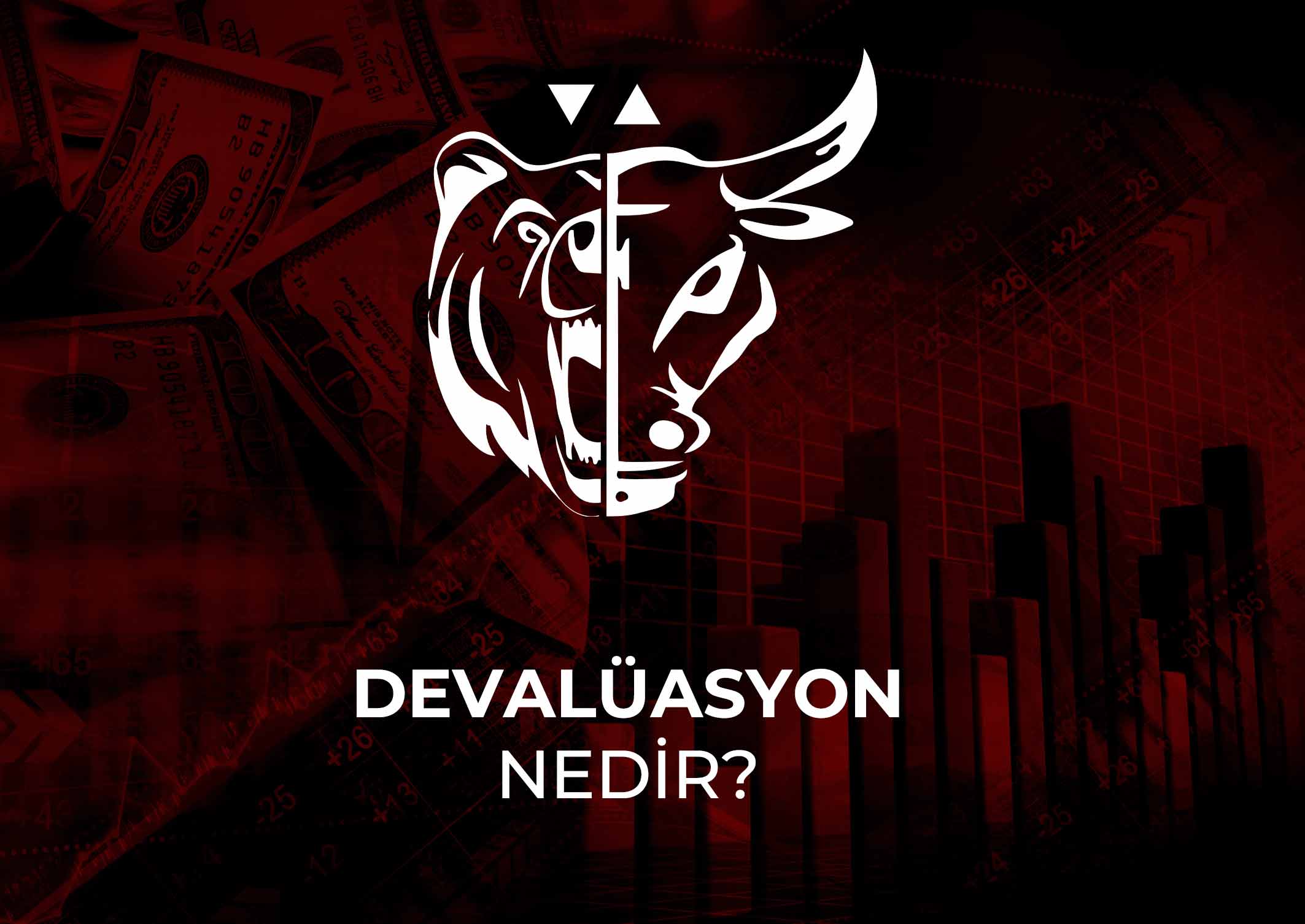 Devalüasyon nedir?