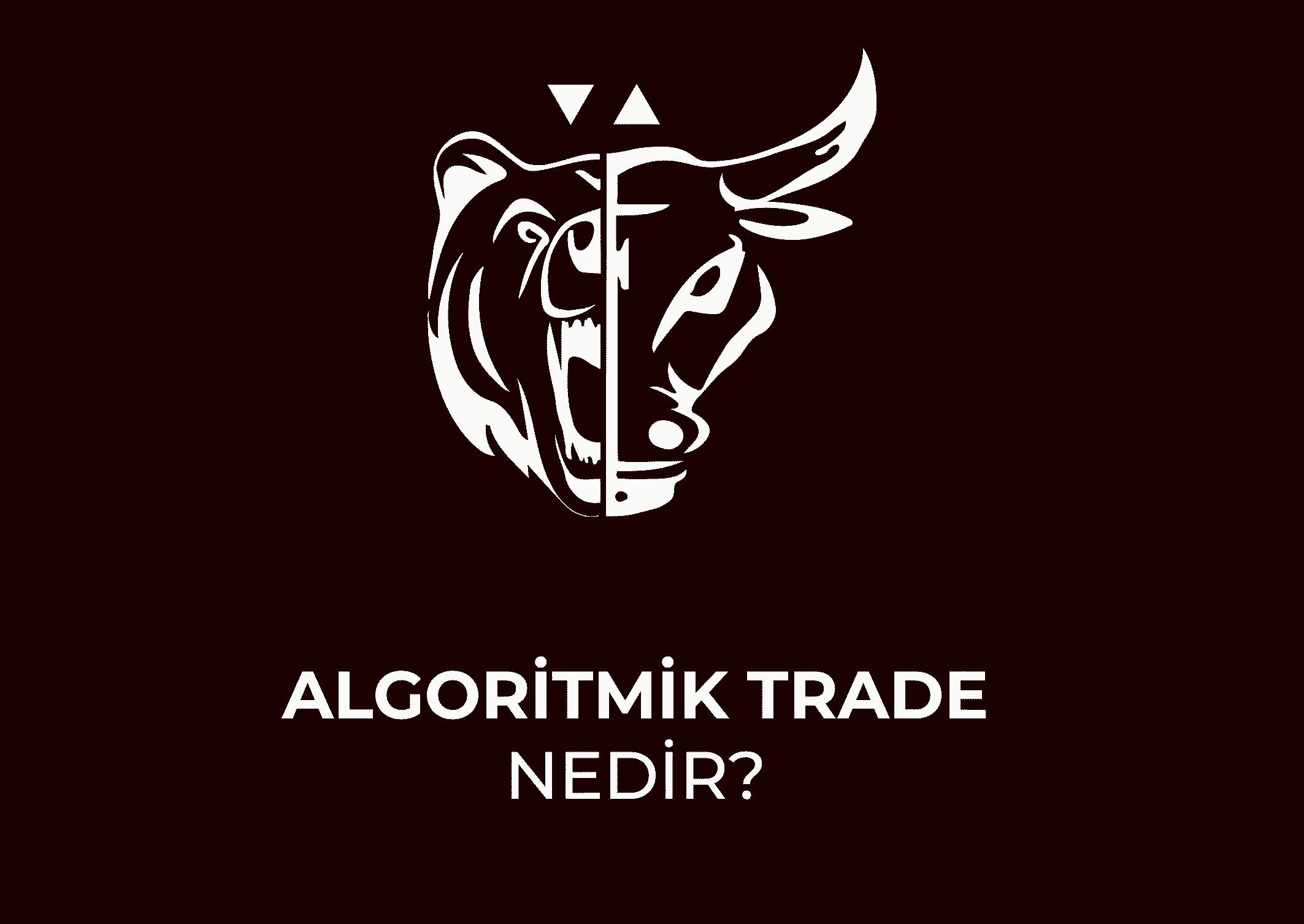 Algoritmik trade nedir?