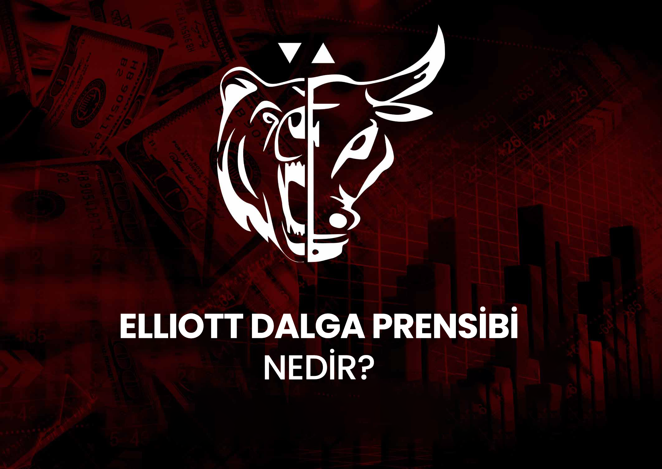 Ellıott dalga prensibi nedir