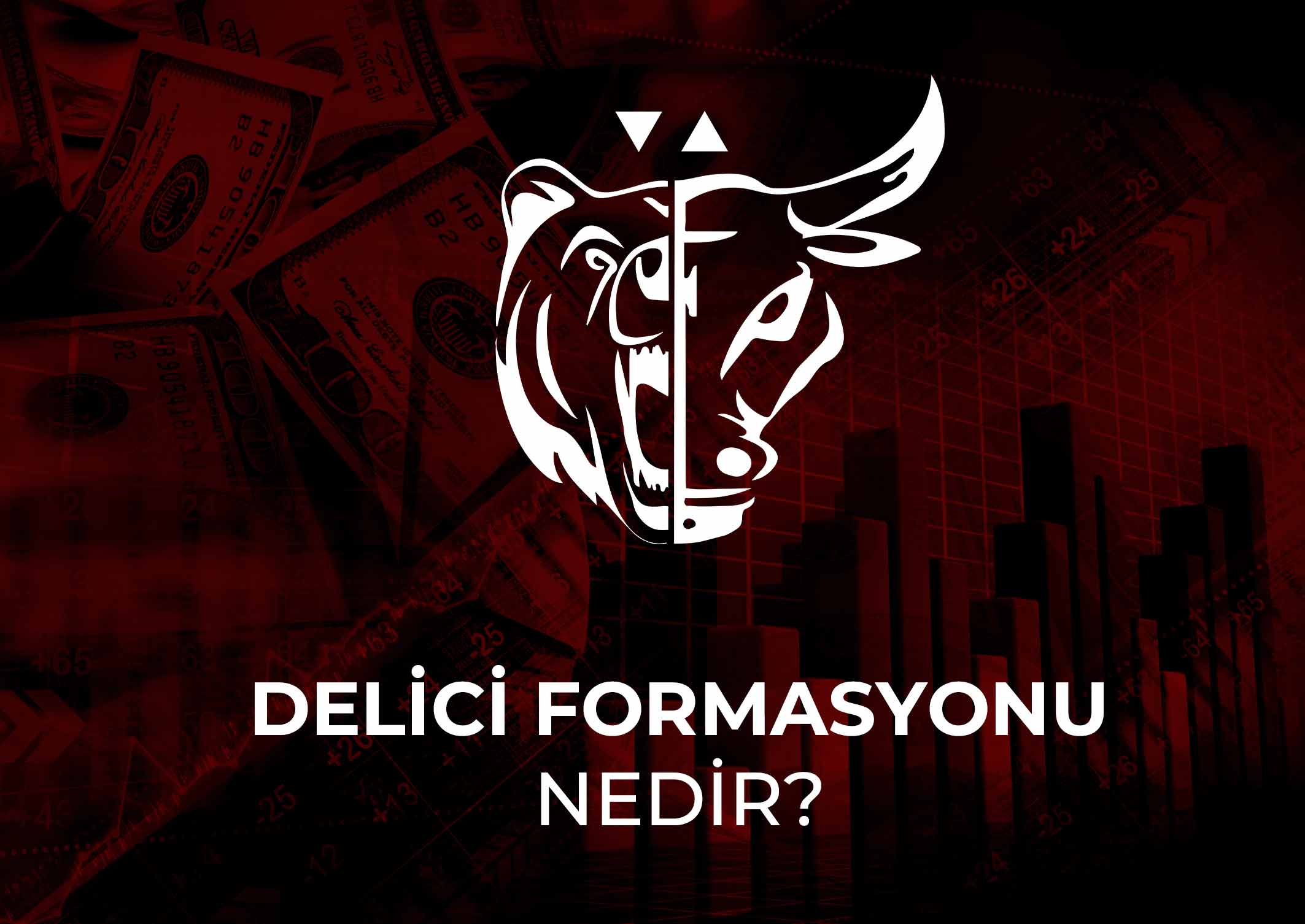 Delici formasyonu nedir?