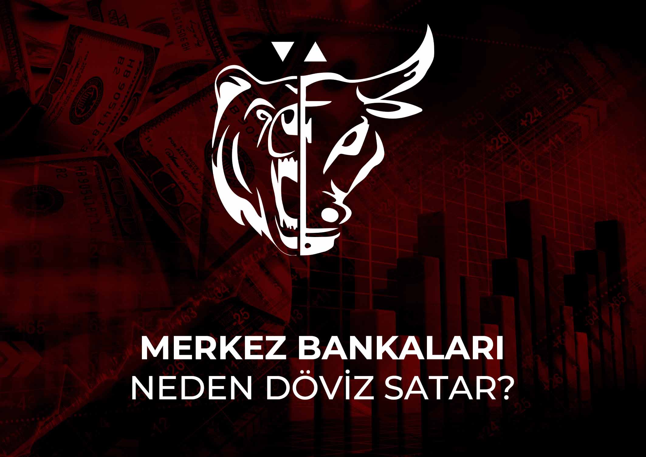 Merkez bankaları neden döviz satar?