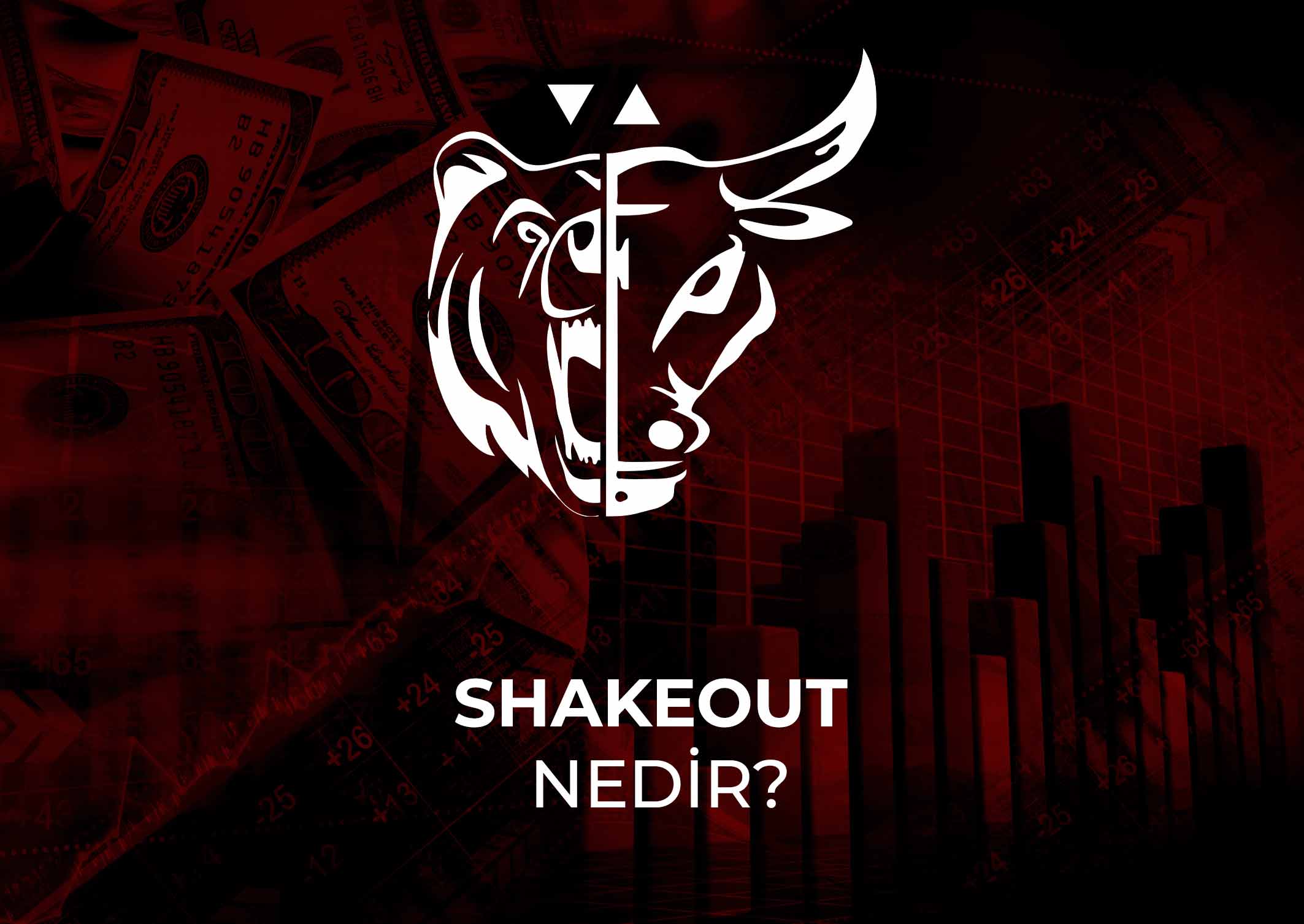 Shakeout nedir