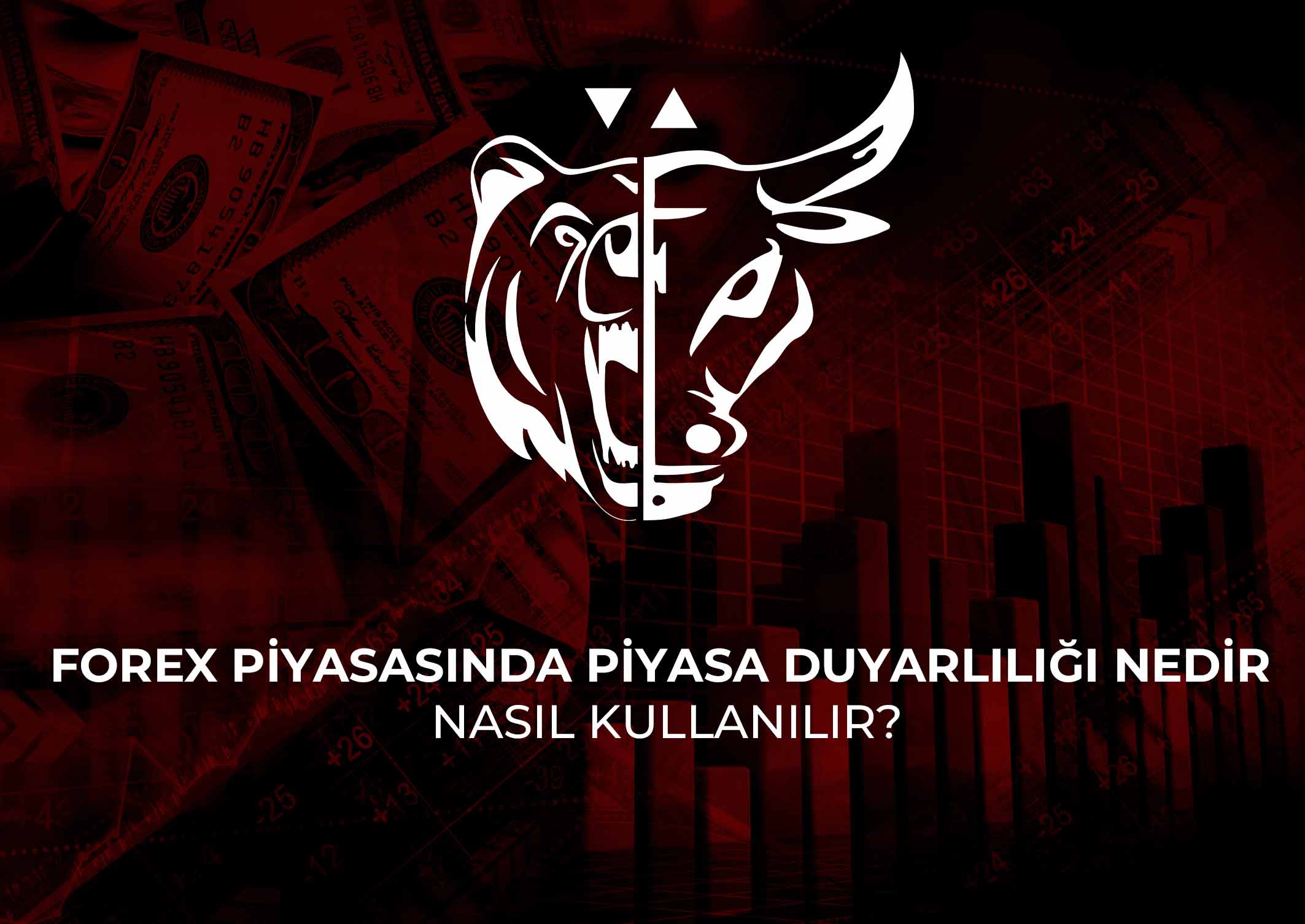 Forex Piyasasında Piyasa Duyarlılığı Nedir ve Nasıl Kullanılır?