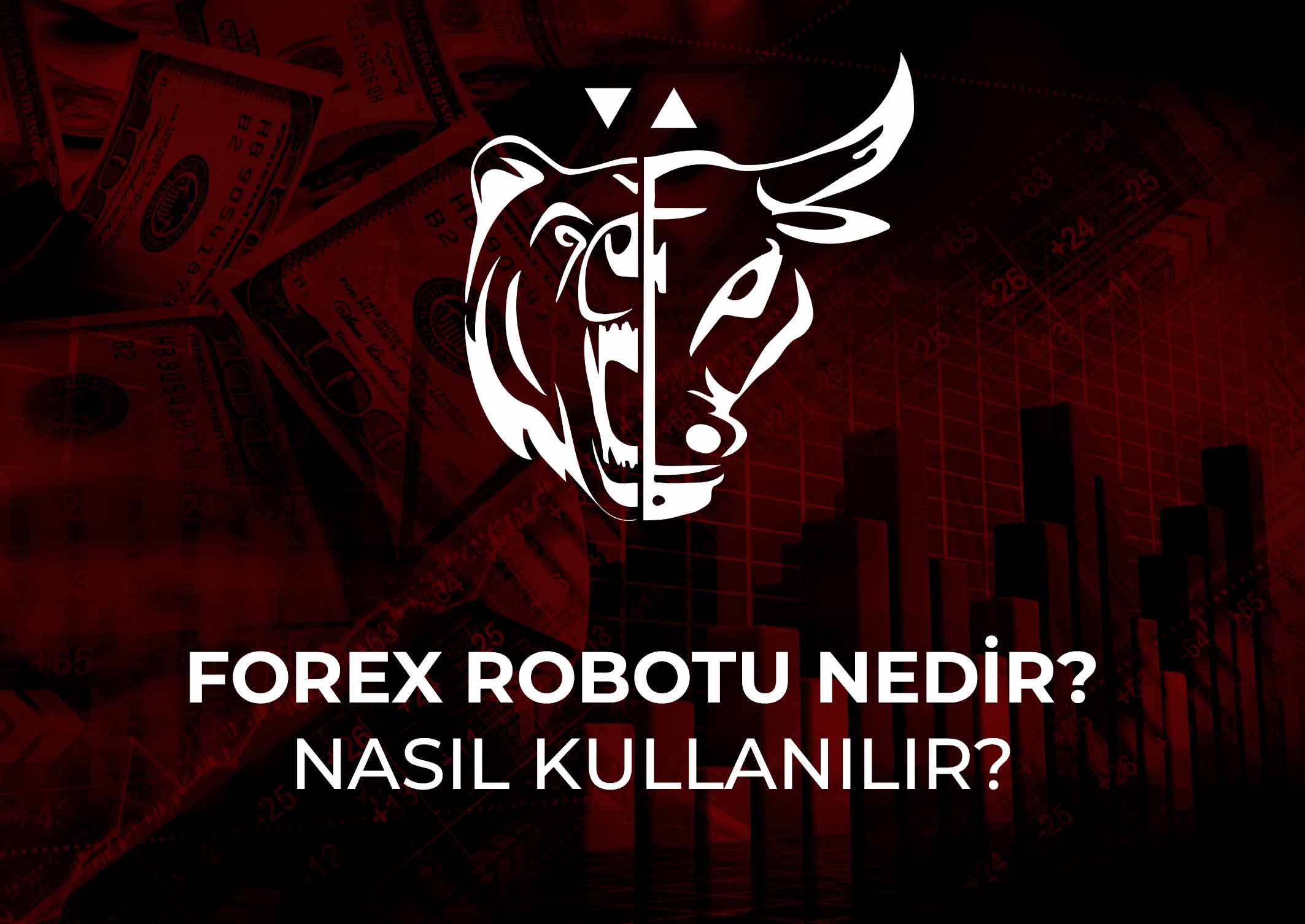 Forex robotu nedir? Nasıl kullanılır?