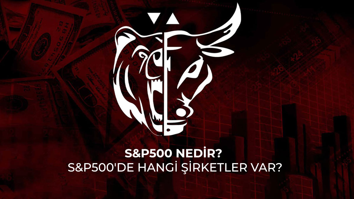 S&P500 nedir? S&P500'de hangi şirketler var?