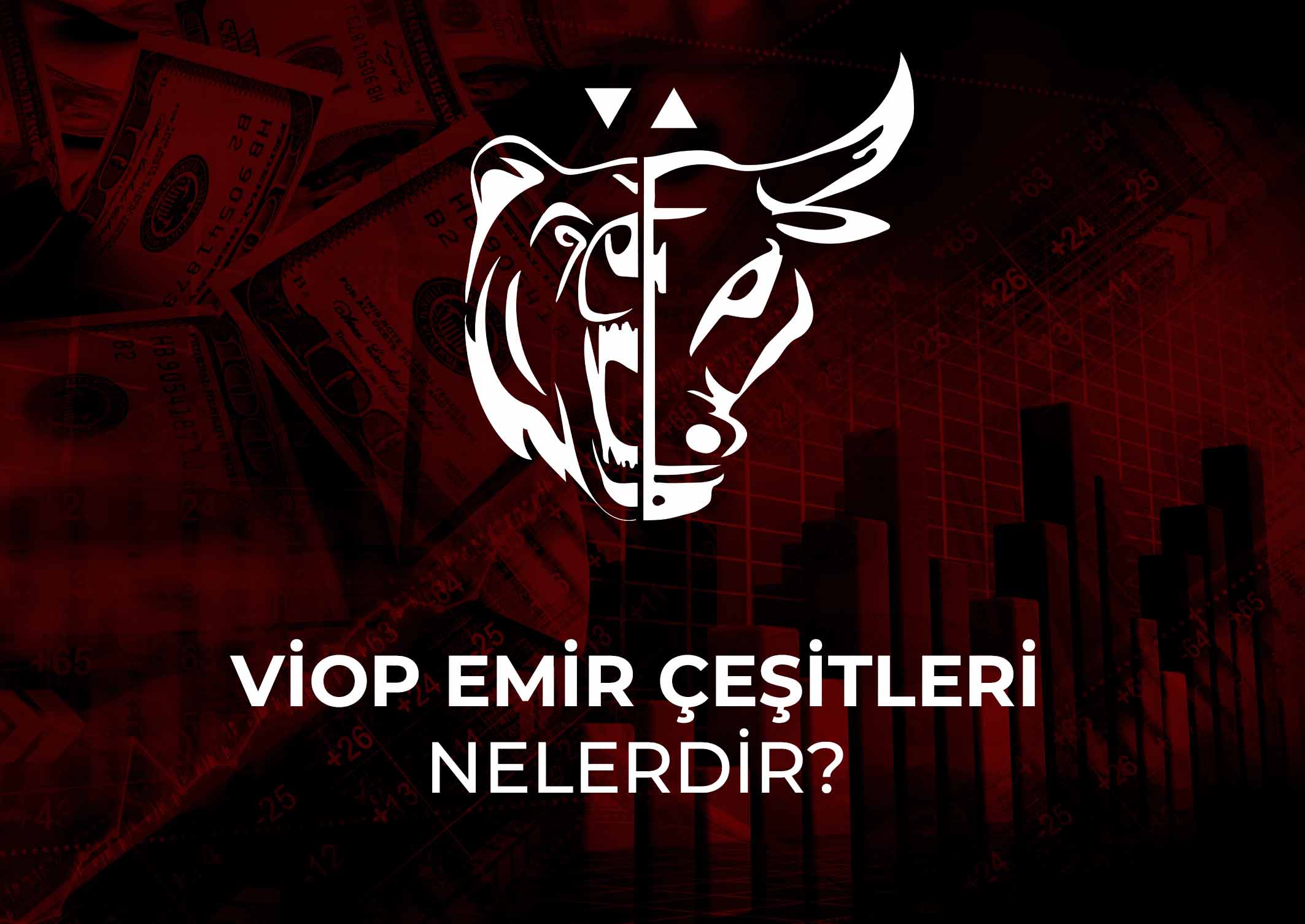 VİOP-emir-çeşitleri-nelerdir