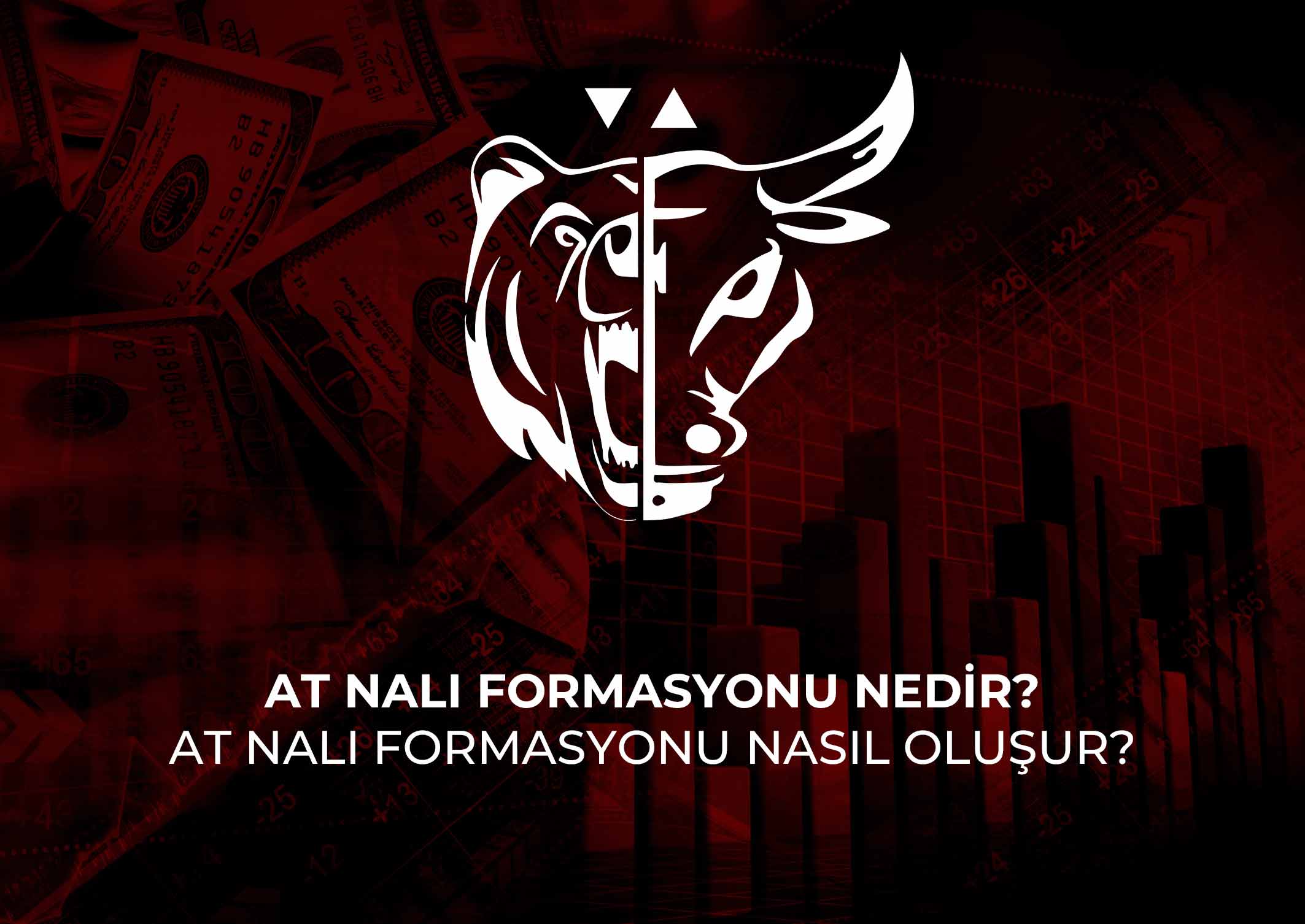 At-nalı-formasyonu-nedir-At-nalı-formasyonu-nasıl-oluşur.jpg