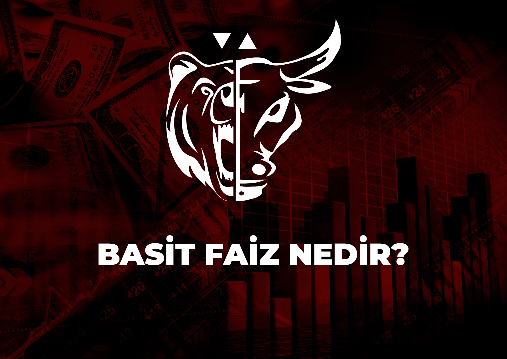 Trade Kulübü - Basit Faiz Nedir