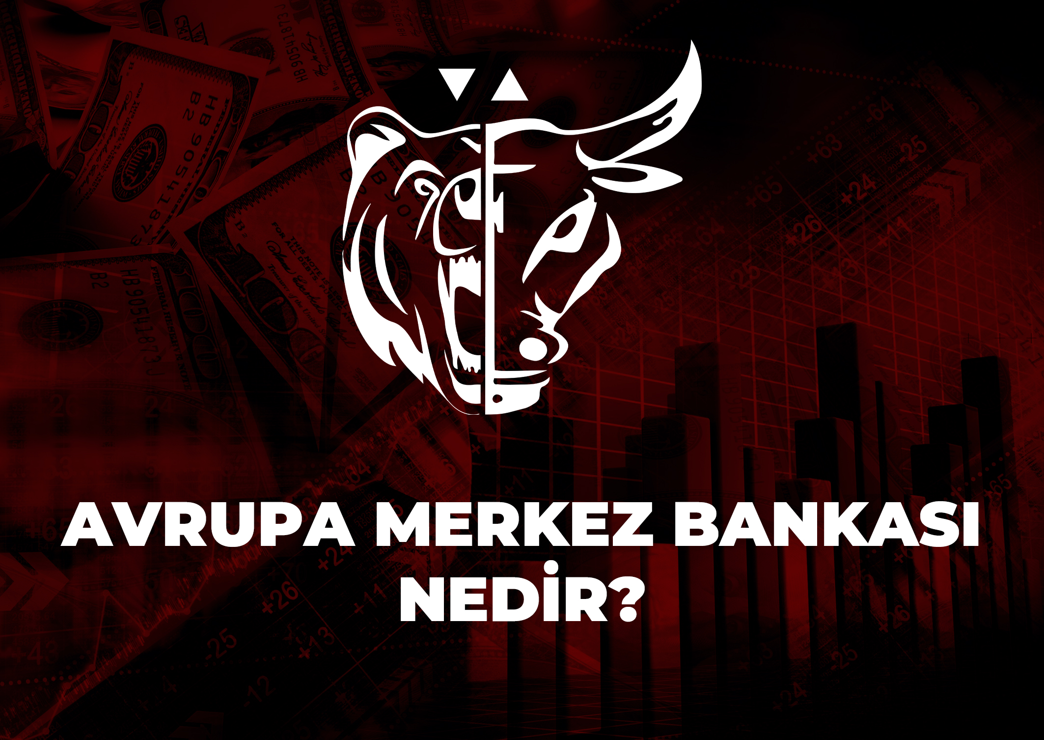 Trade Kulübü - Avrupa Merkez Bankası Nedir