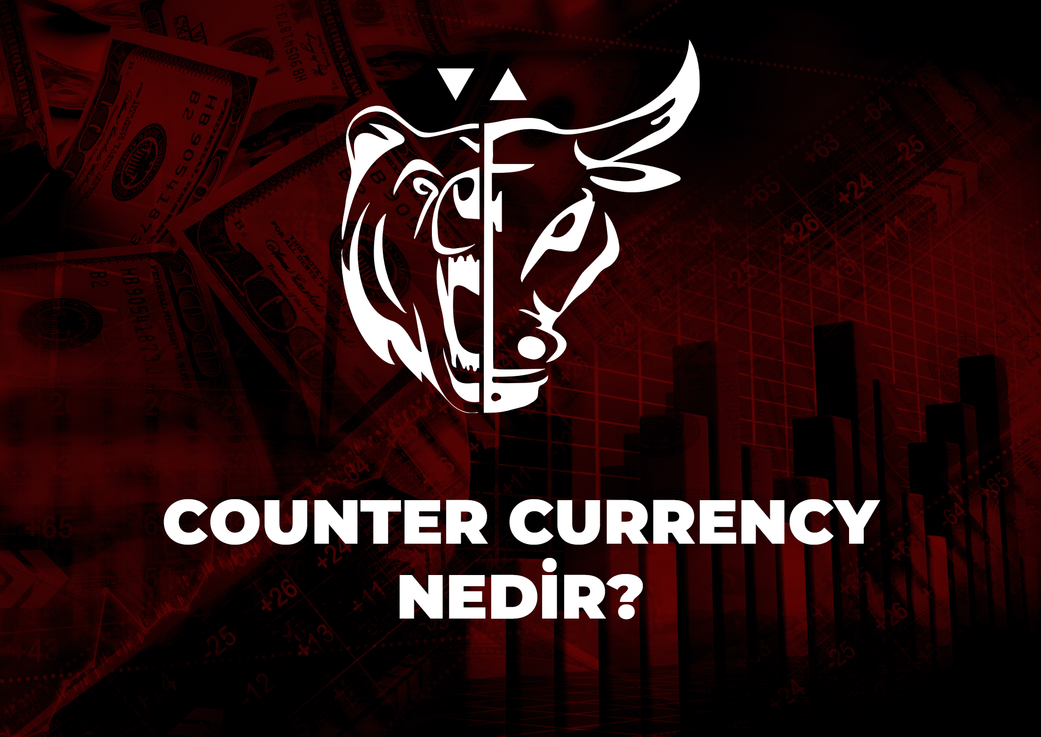 Trade Kulübü - Counter Currency Nedir