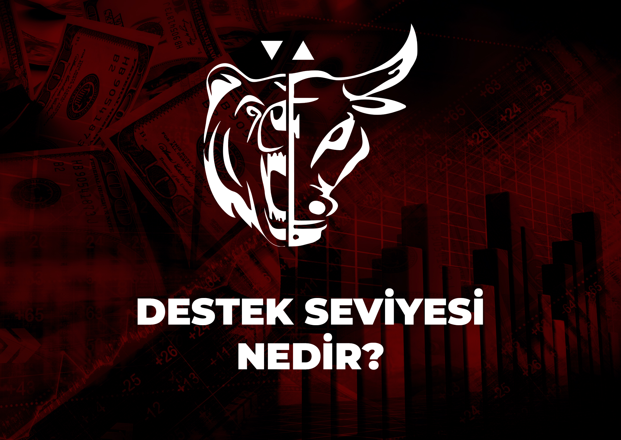 Trade Kulübü - Destek Seviyesi Nedir