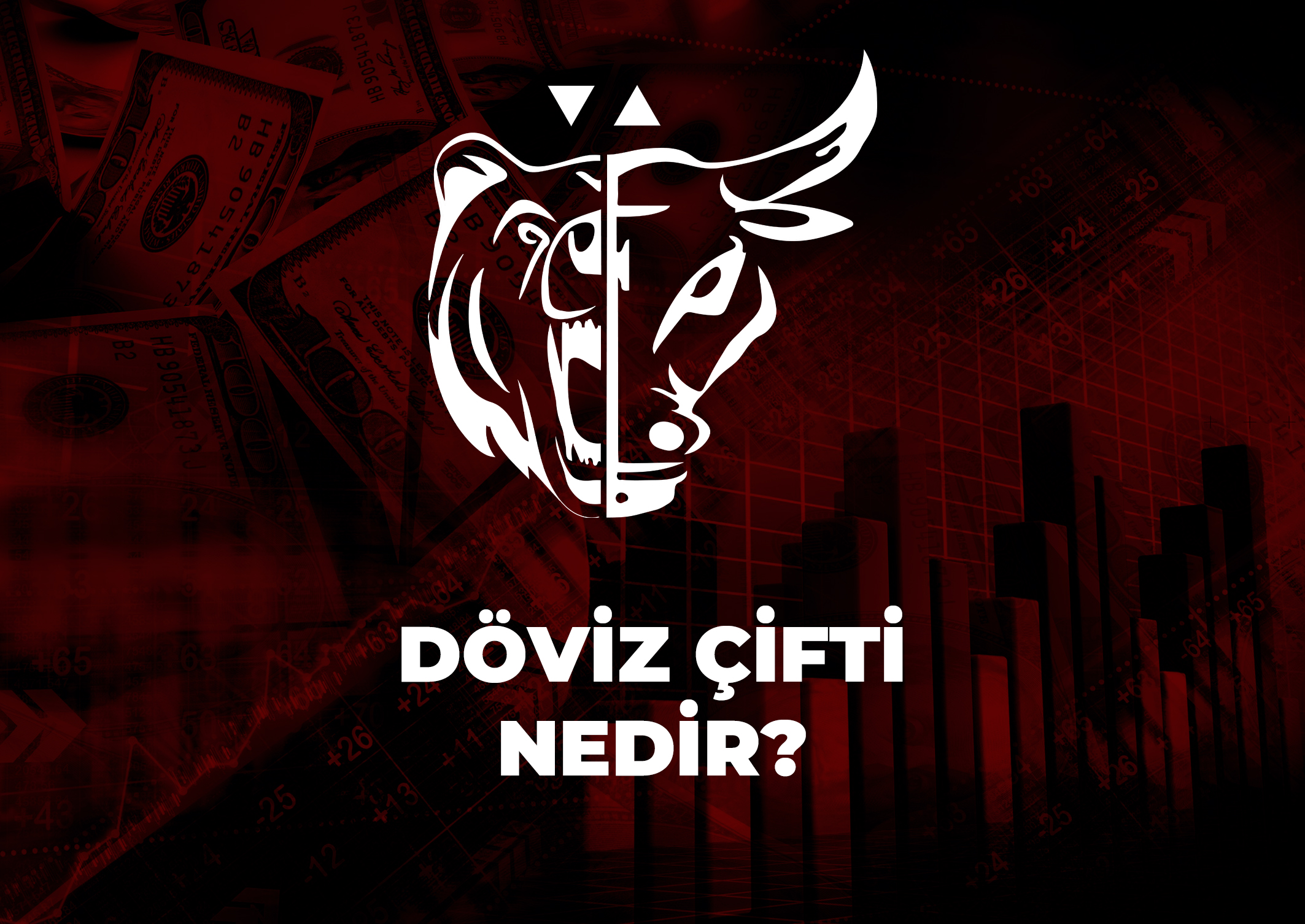 Trade Kulübü - Döviz Çifti Nedir