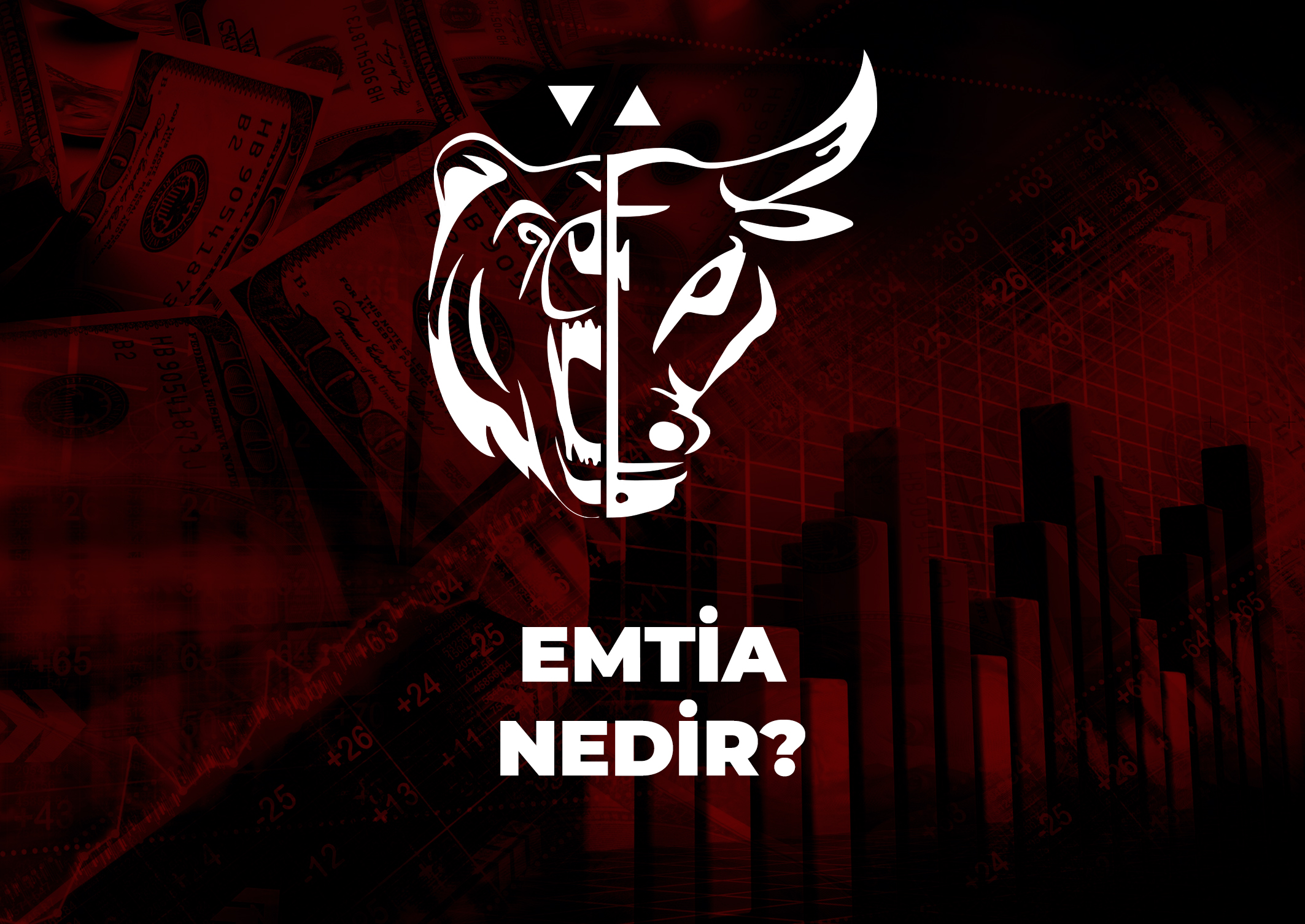 Trade Kulübü - Emtia Nedir