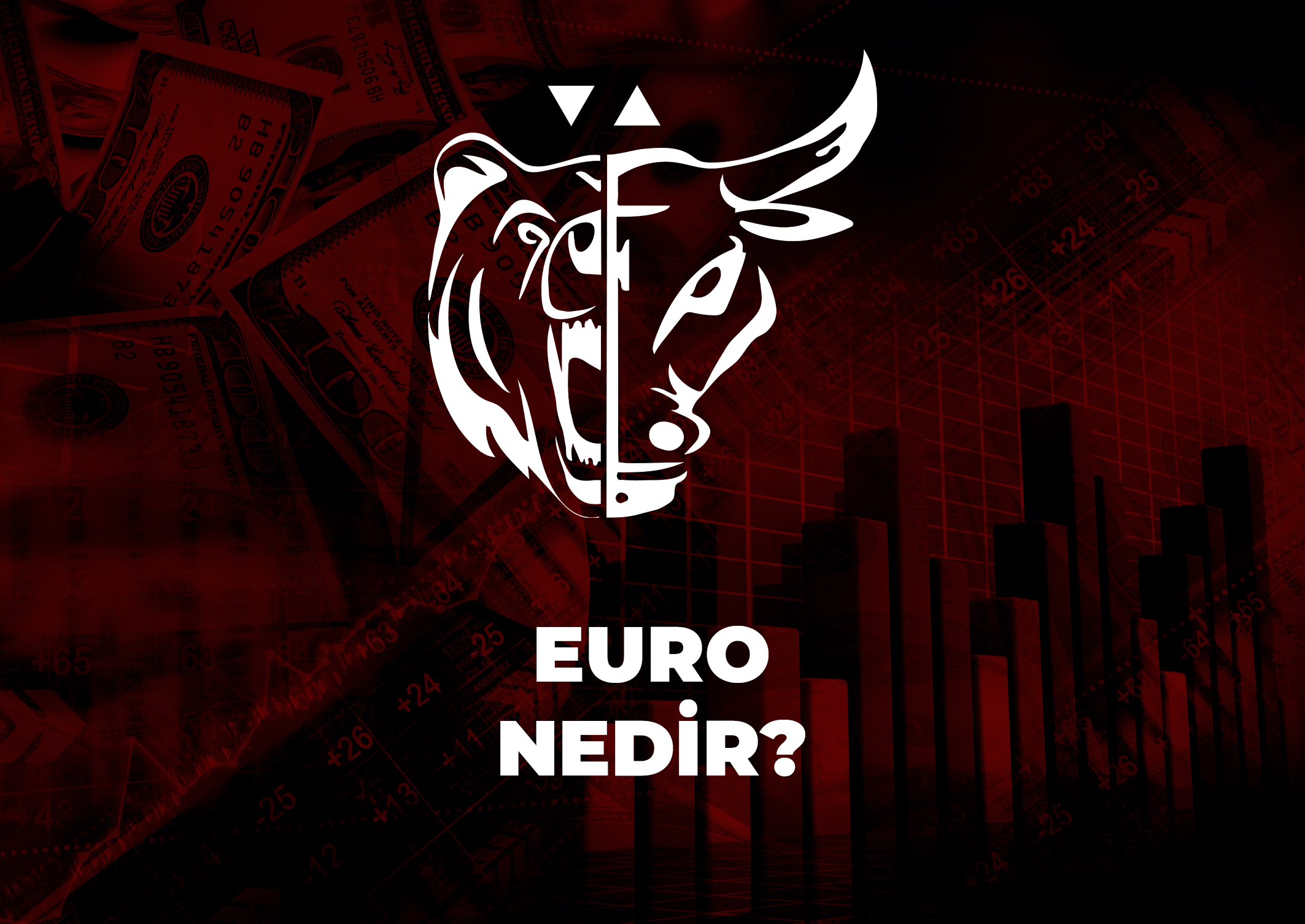 Trade Kulübü - Euro Nedir