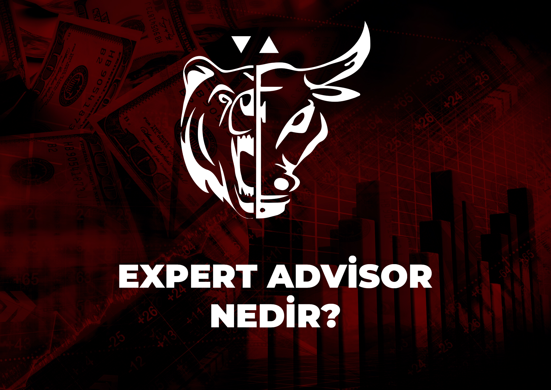 Trade Kulübü - Expert Advisor Nedir