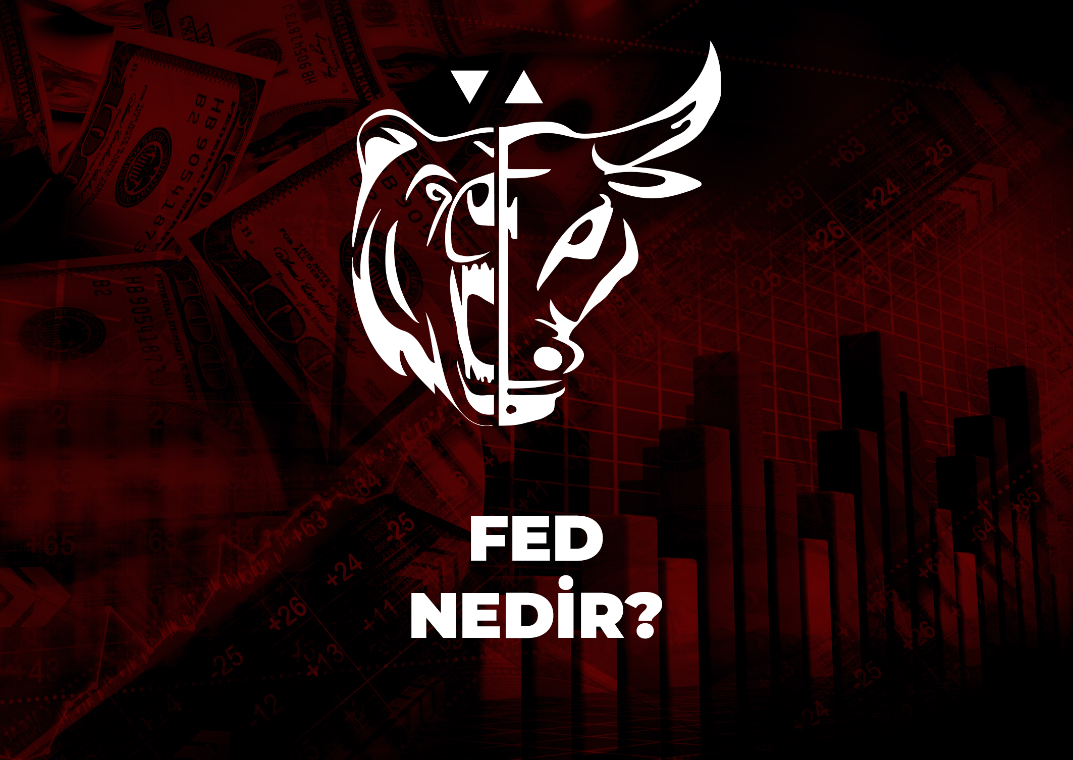 Trade Kulübü - Fed Nedir