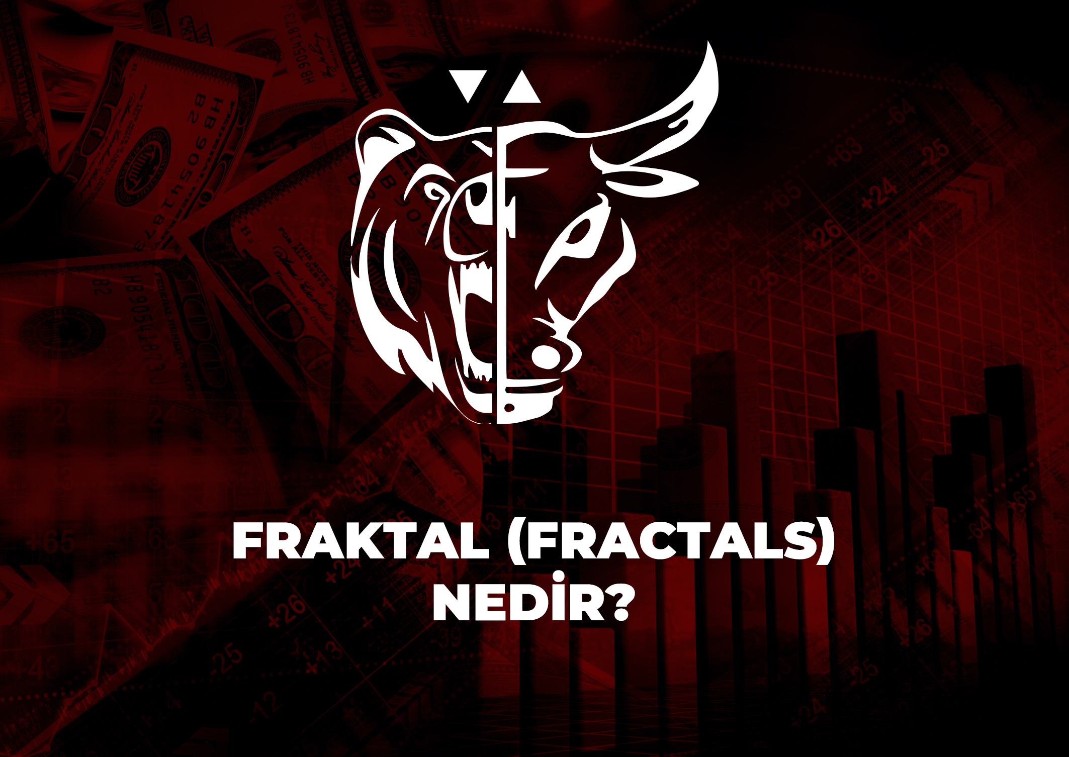 Trade Kulübü - Fraktal (Fractals) Nedir