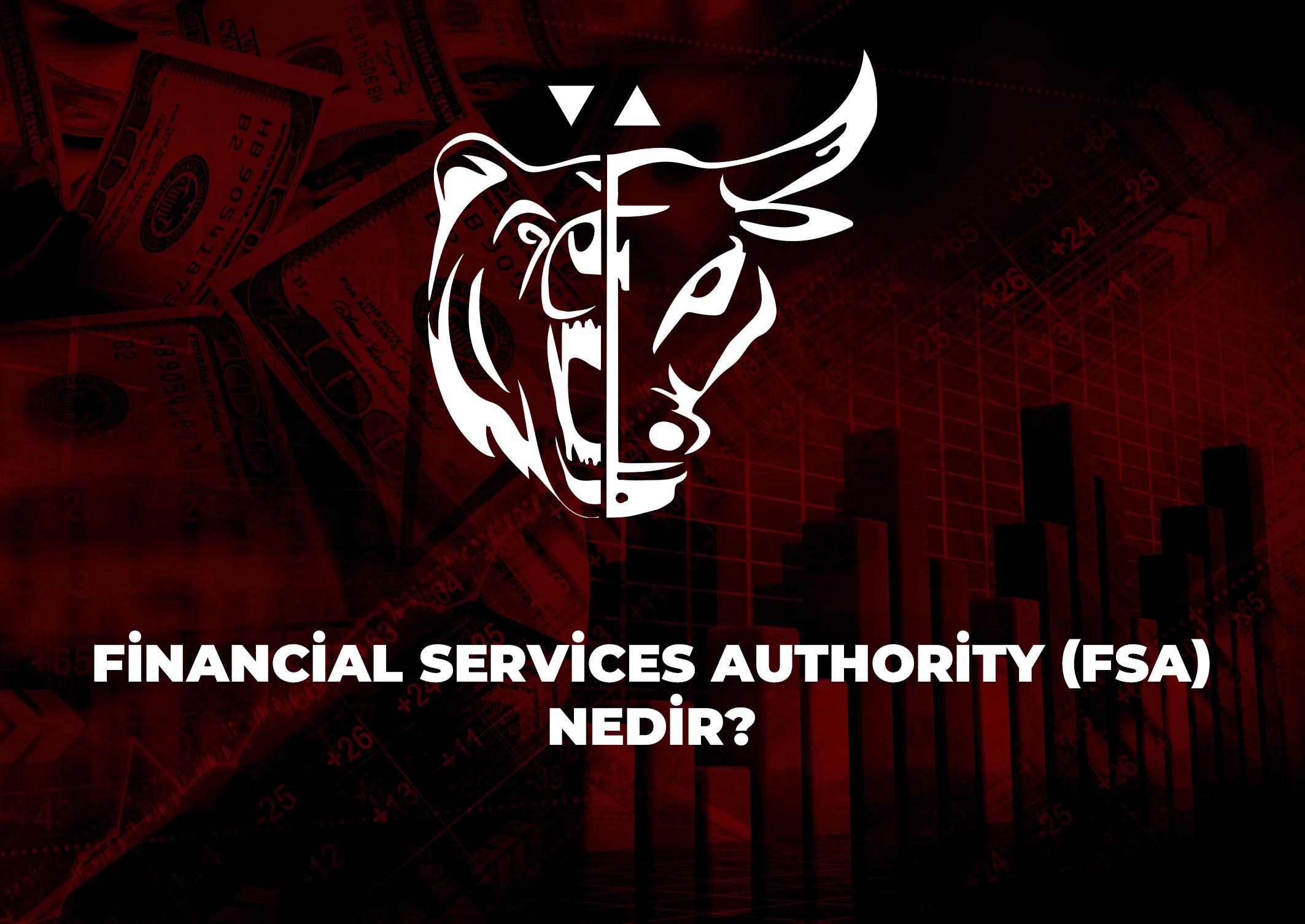 Trade Kulübü - Financial Services Authority (FSA) Nedir