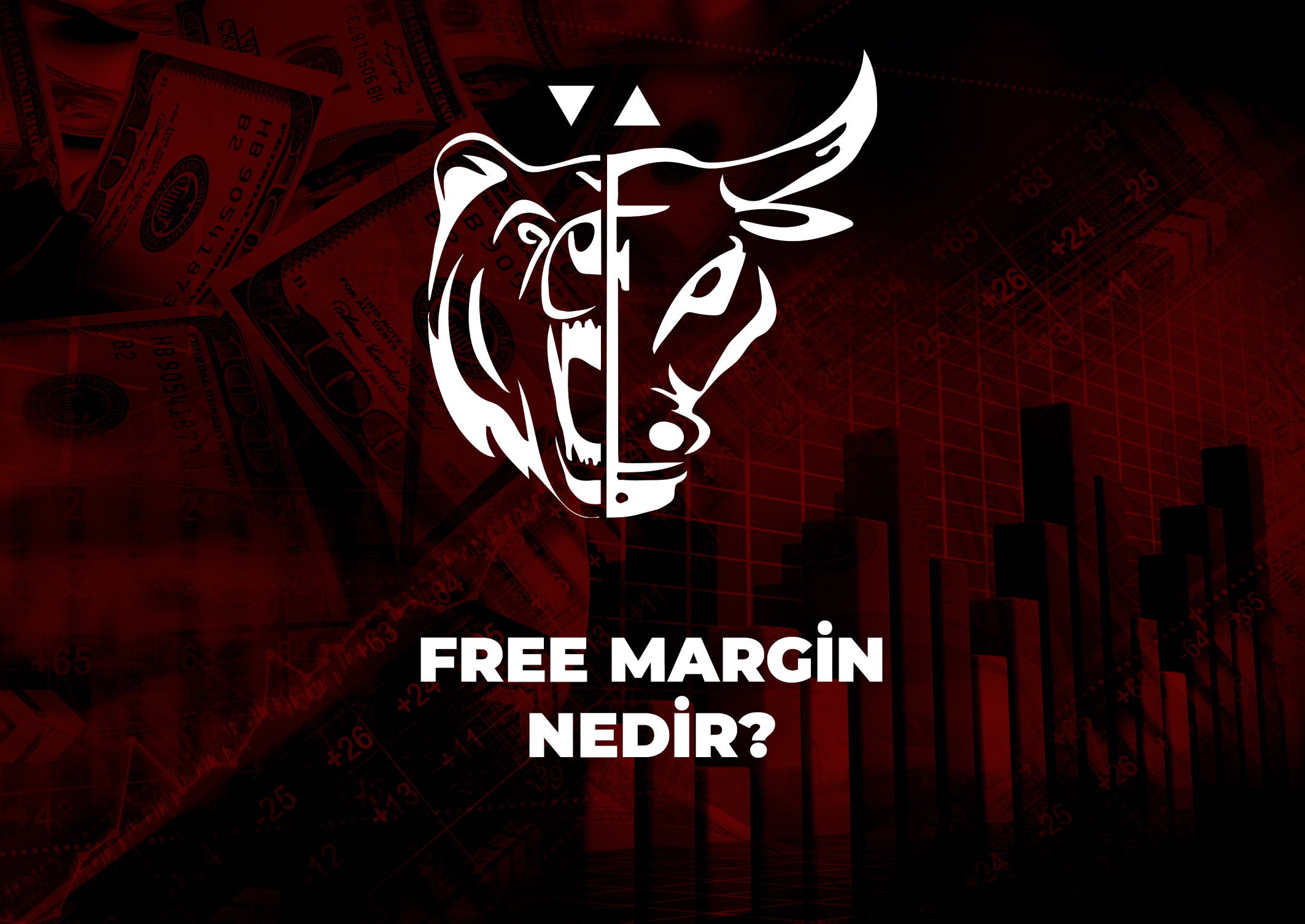 Trade Kulübü - Free Margin Nedir