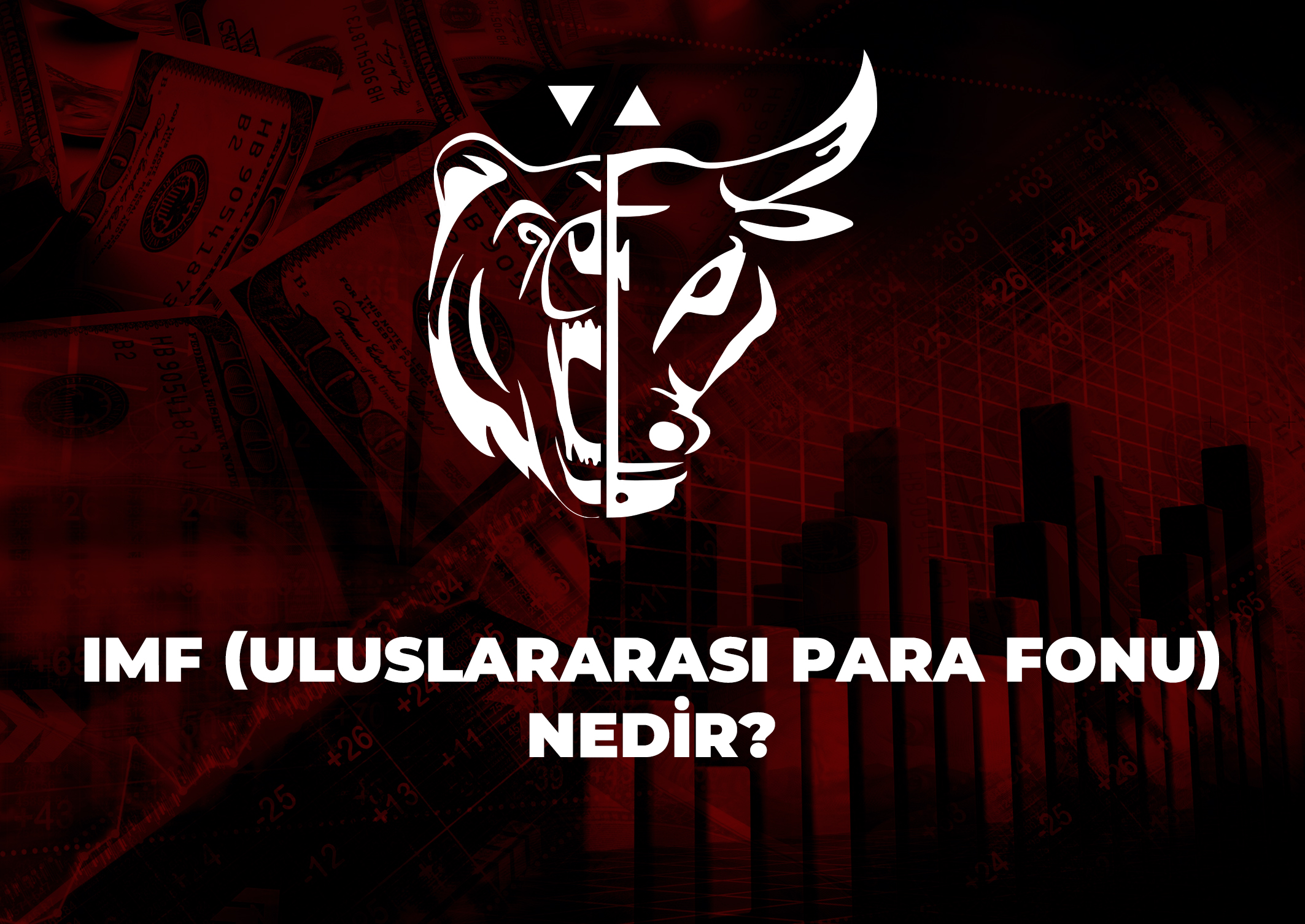 Trade Kulübü - IMF (Uluslararası Para Fonu) Nedir