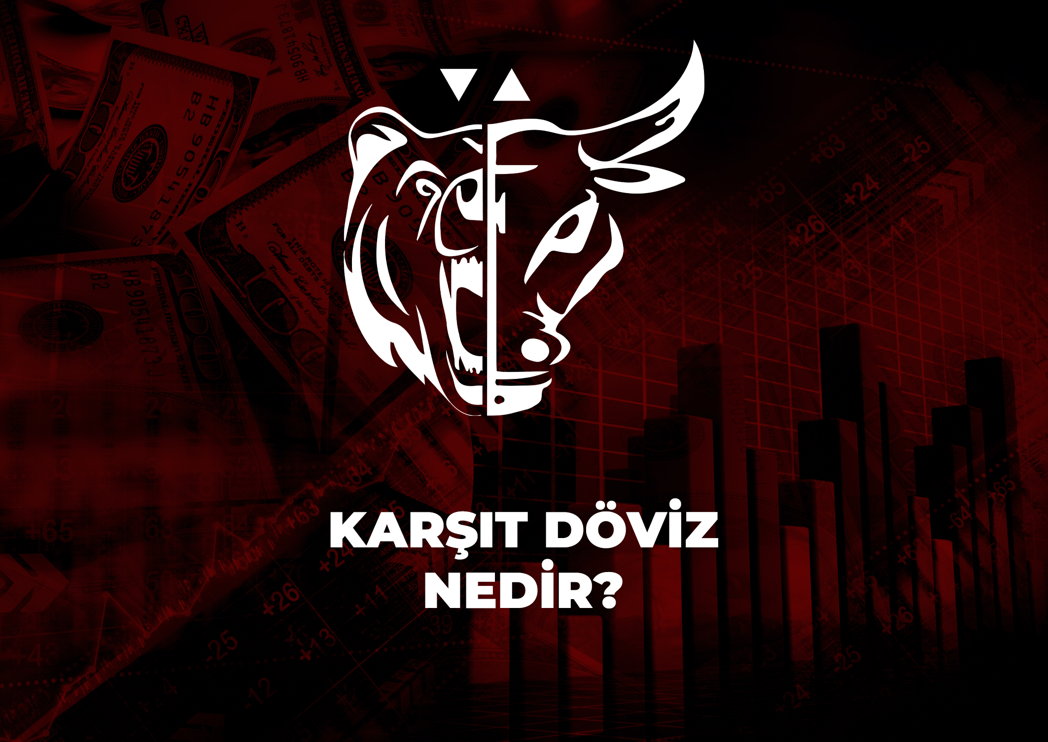 Trade Kulübü - Karşıt Döviz Nedir