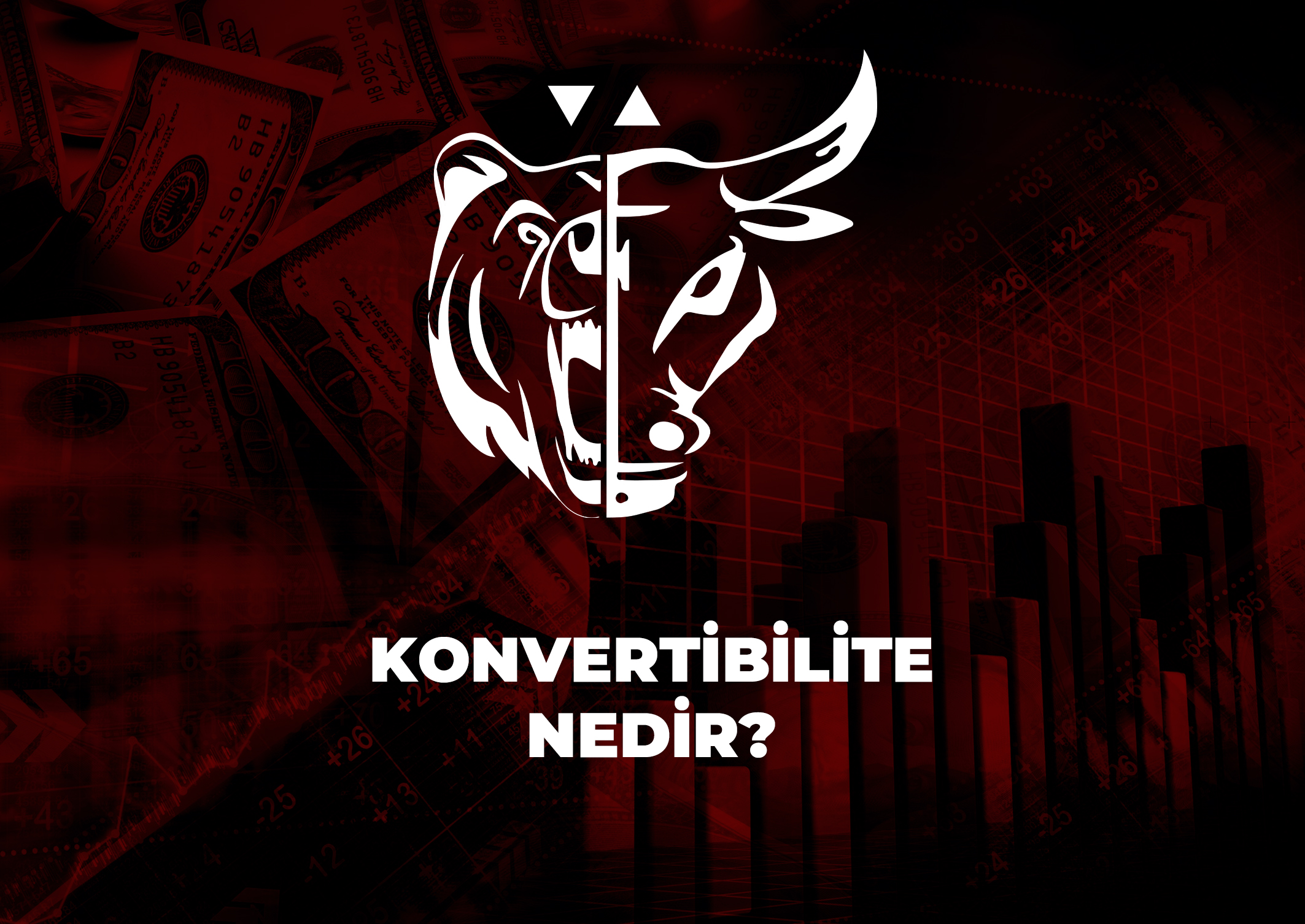 Trade Kulübü - Konvertibilite Nedir