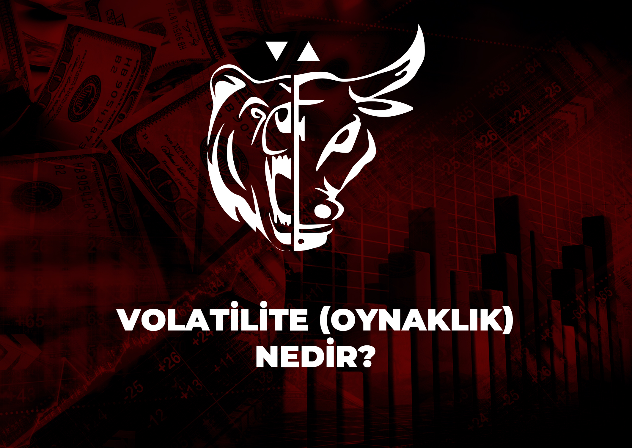 Trade Kulübü - Volatilite (Oynaklık) Nedir