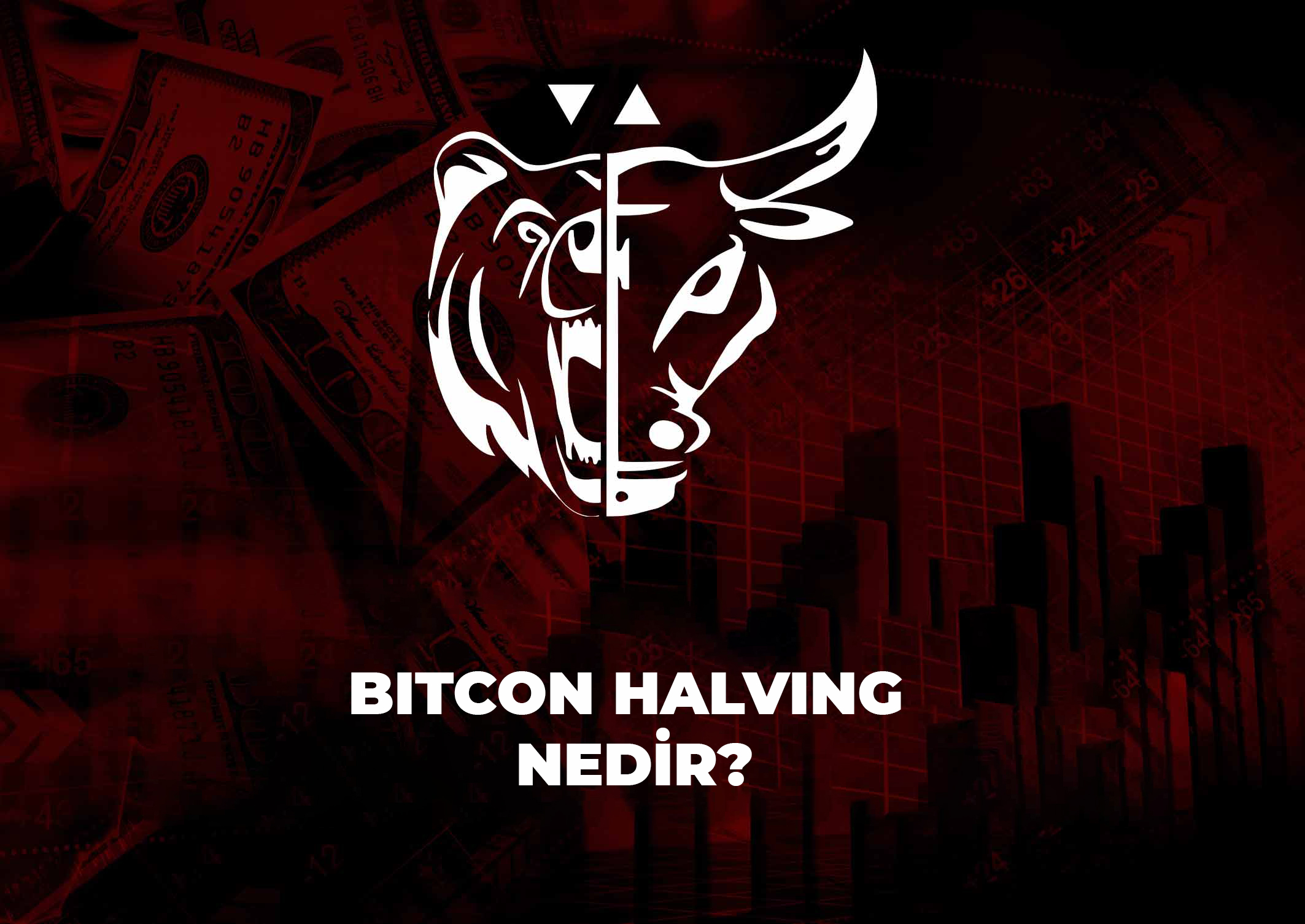 bitcoin-halvin-nedir.jpg